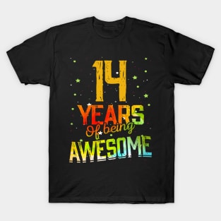 14th Anniversary Gift Vintage Retro 14 Years Of Being Awesome Gifts Funny 14 Years Birthday Men Women T-Shirt